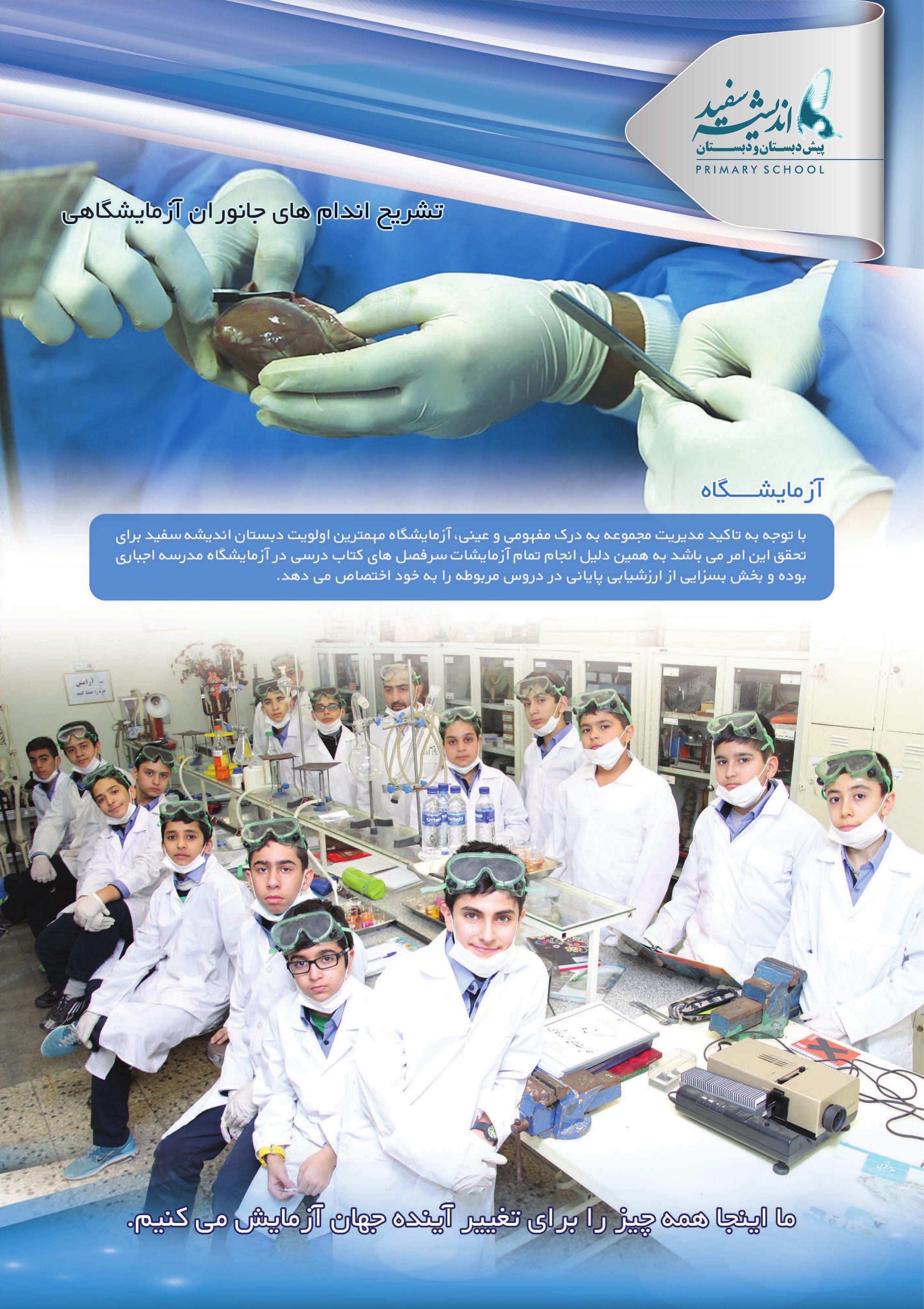 کاتالوگ